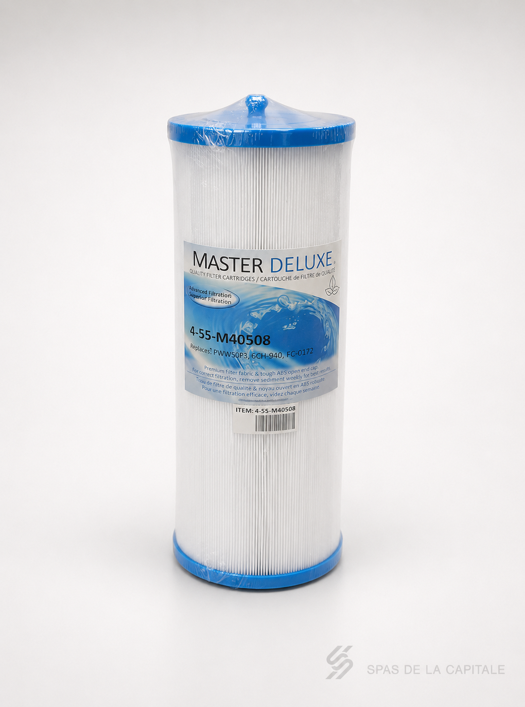 Filtre spa Master Deluxe M40508 FC-0172 Dynasty