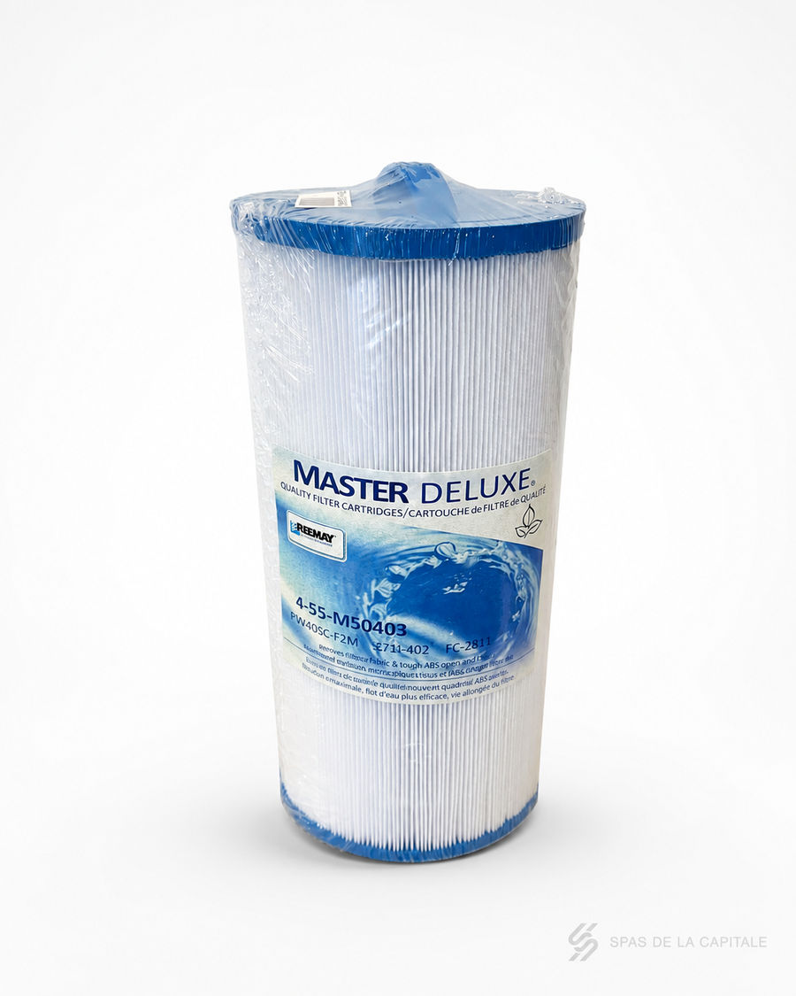 Filtre spa Master Deluxe M50403 FC-2811 Sundance