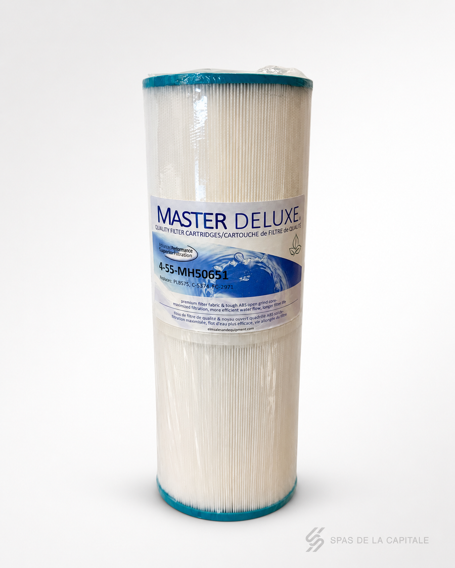 Filtre spa Master Deluxe MH50651 FC-2971 Cal Spas